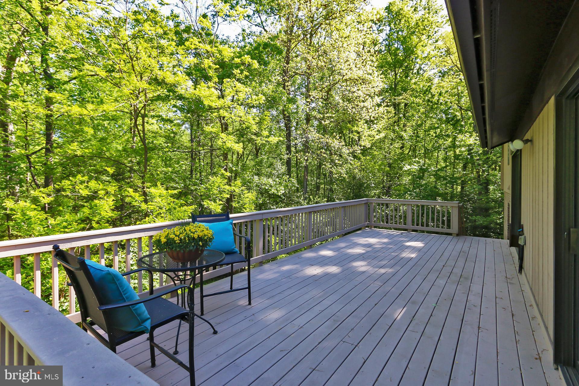 11302 Fieldstone Lane Reston, VA 20191 - Photo 6 of 48 Beautiful New Deck to Enjoy the View