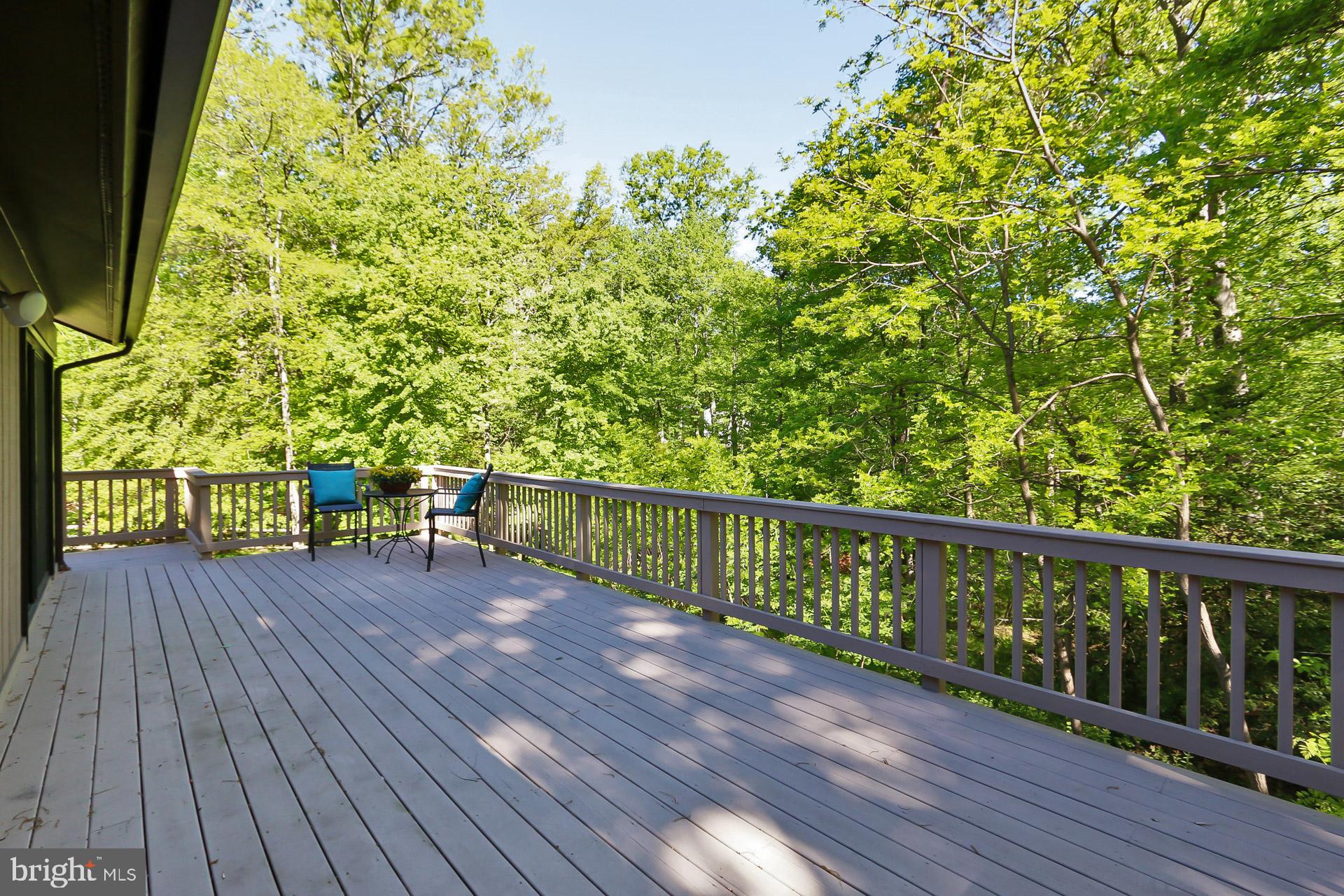 11302 Fieldstone Lane Reston, VA 20191 - Photo 7 of 48