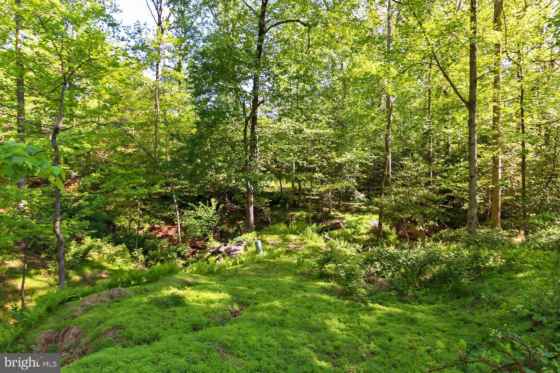 11302 Fieldstone Lane Reston, VA 20191 - Photo 8 of 48 Private Cul de sac Lot Backs to parkland!