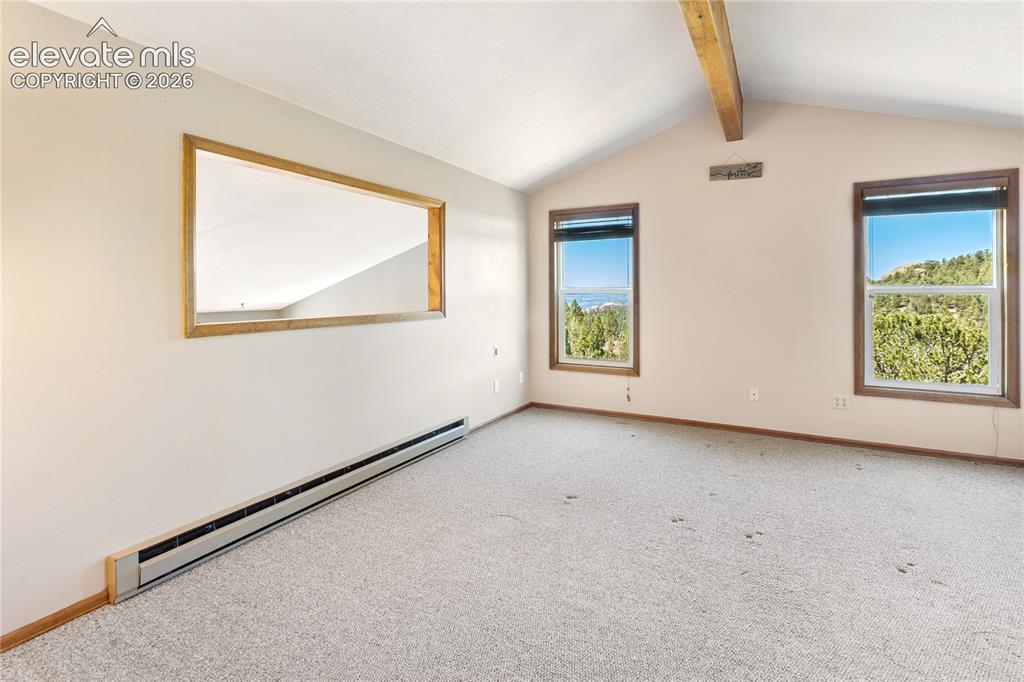 265 Homestead Road Divide, CO 80814 - Photo 24 of 50