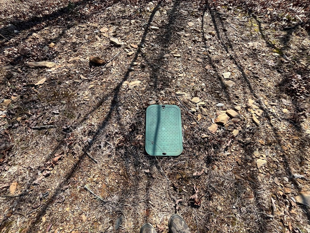 17 Fish Hawk Ridge Murphy, NC 28906 - Photo 5 of 6