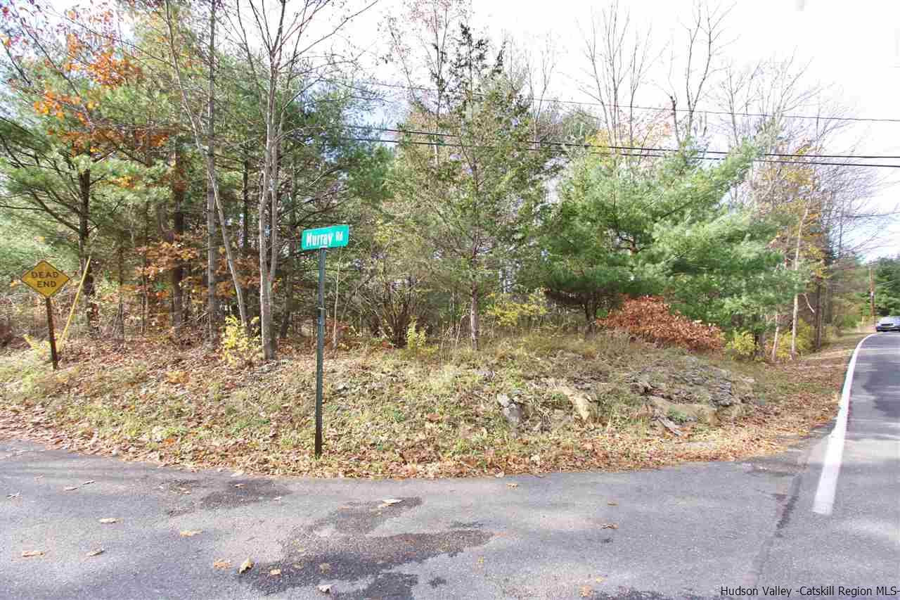 Hill Road Kingston, NY 12401 - Photo 5 of 8 Photo 5
