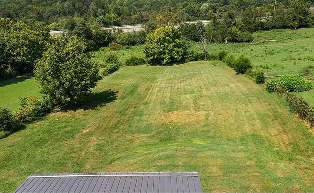 a view of yard with green space