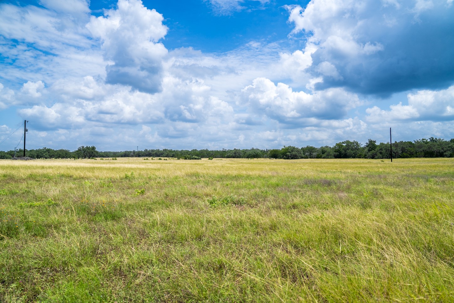 3979 Chimney Valley Road Blanco, TX 78606 - Photo 16 of 34