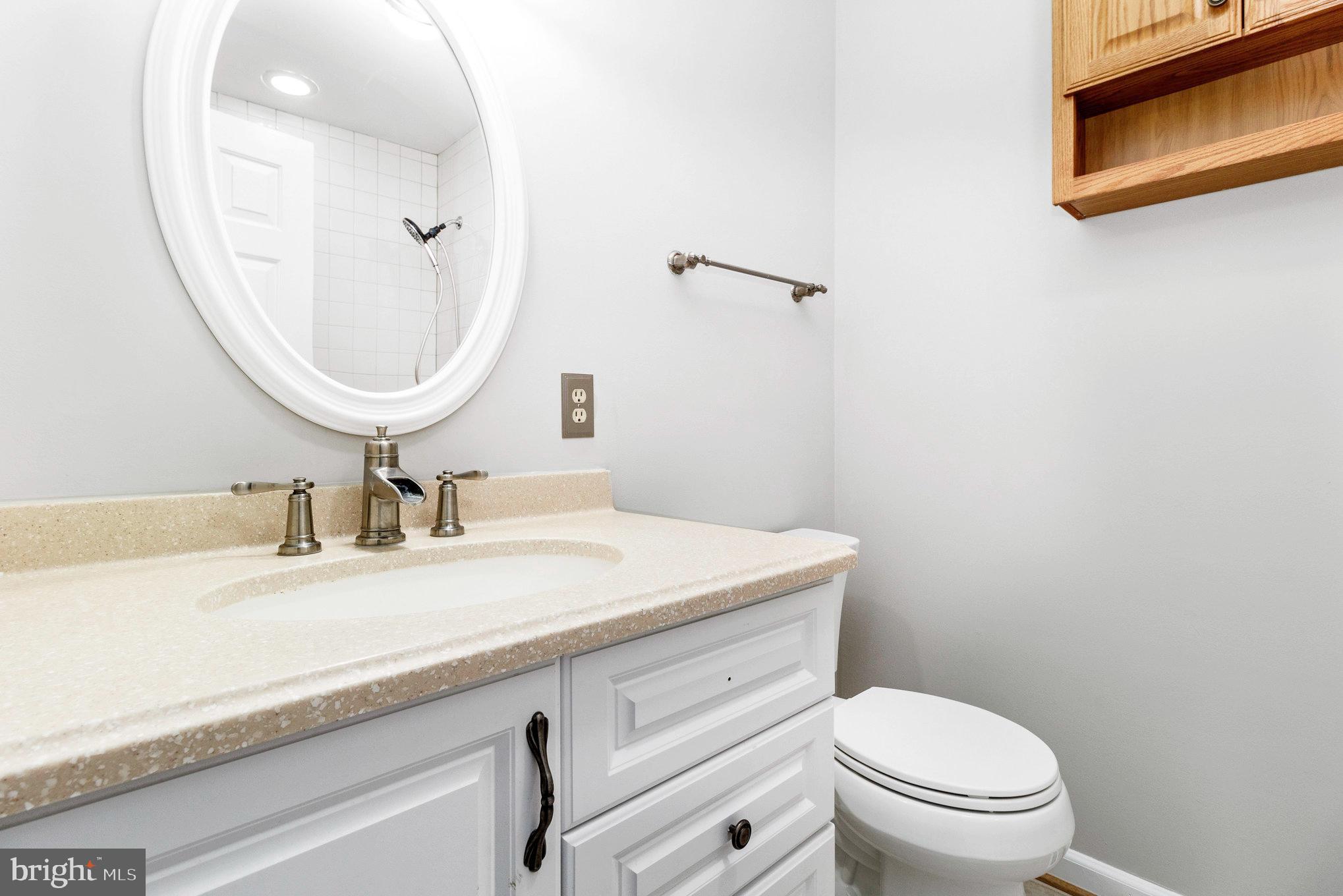205 Fairway Drive Locust Grove, VA 22508 - Photo 17 of 26 a bathroom with a sink a toilet and a mirror