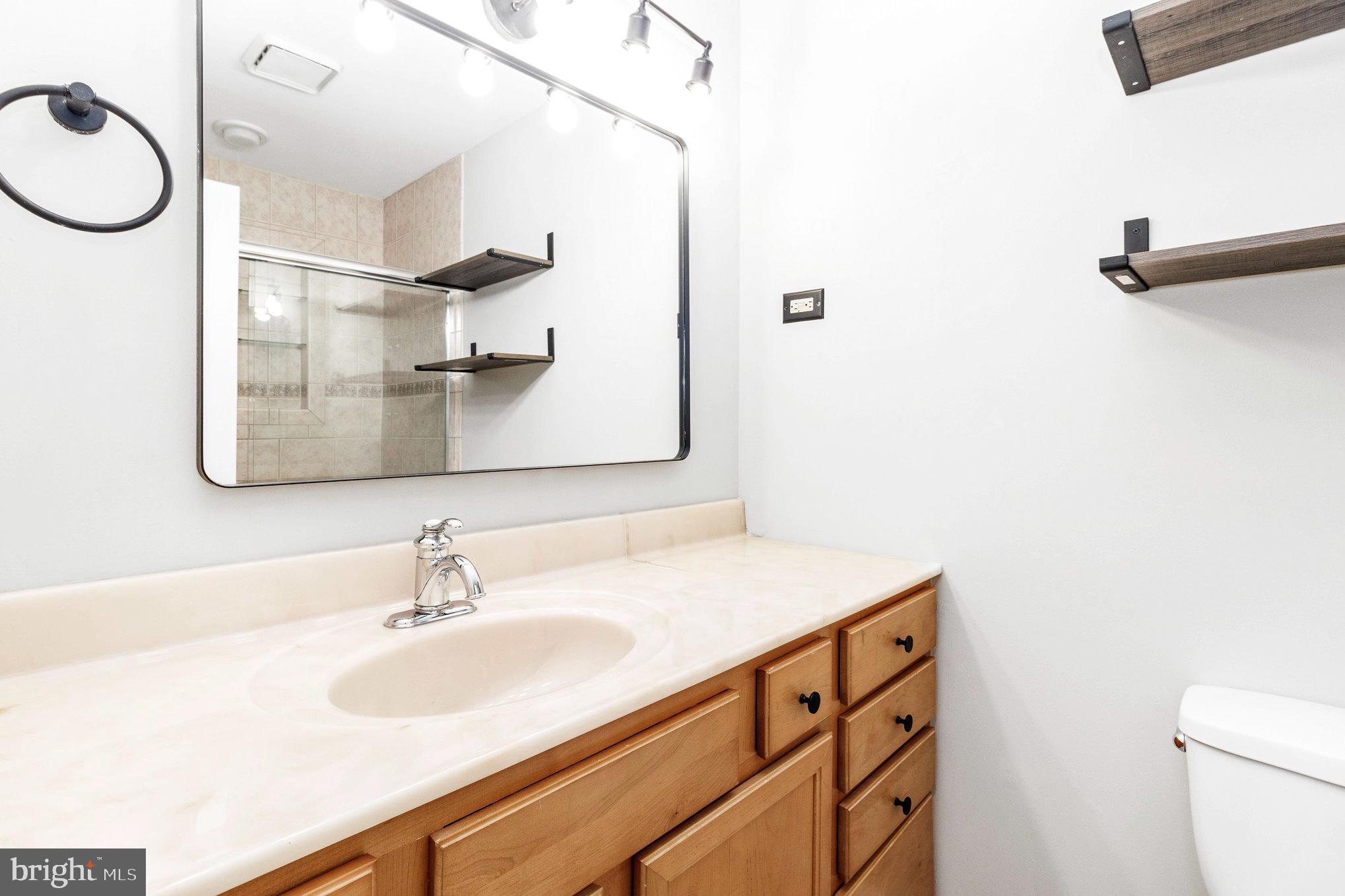 205 Fairway Drive Locust Grove, VA 22508 - Photo 23 of 26 a bathroom with a sink and a mirror