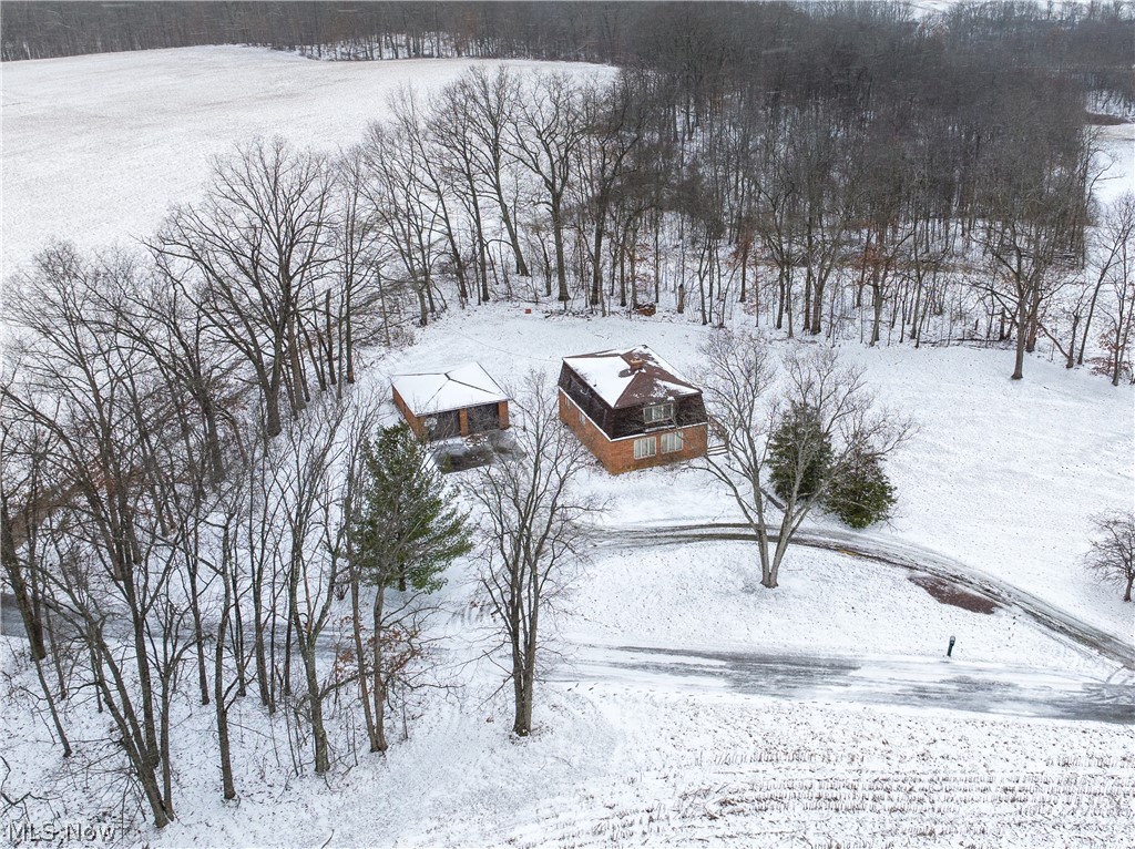 11 Pacific Road Northeast Carrollton, OH 44615 - Photo 8 of 46 Aerial view, home has a treelined property line
