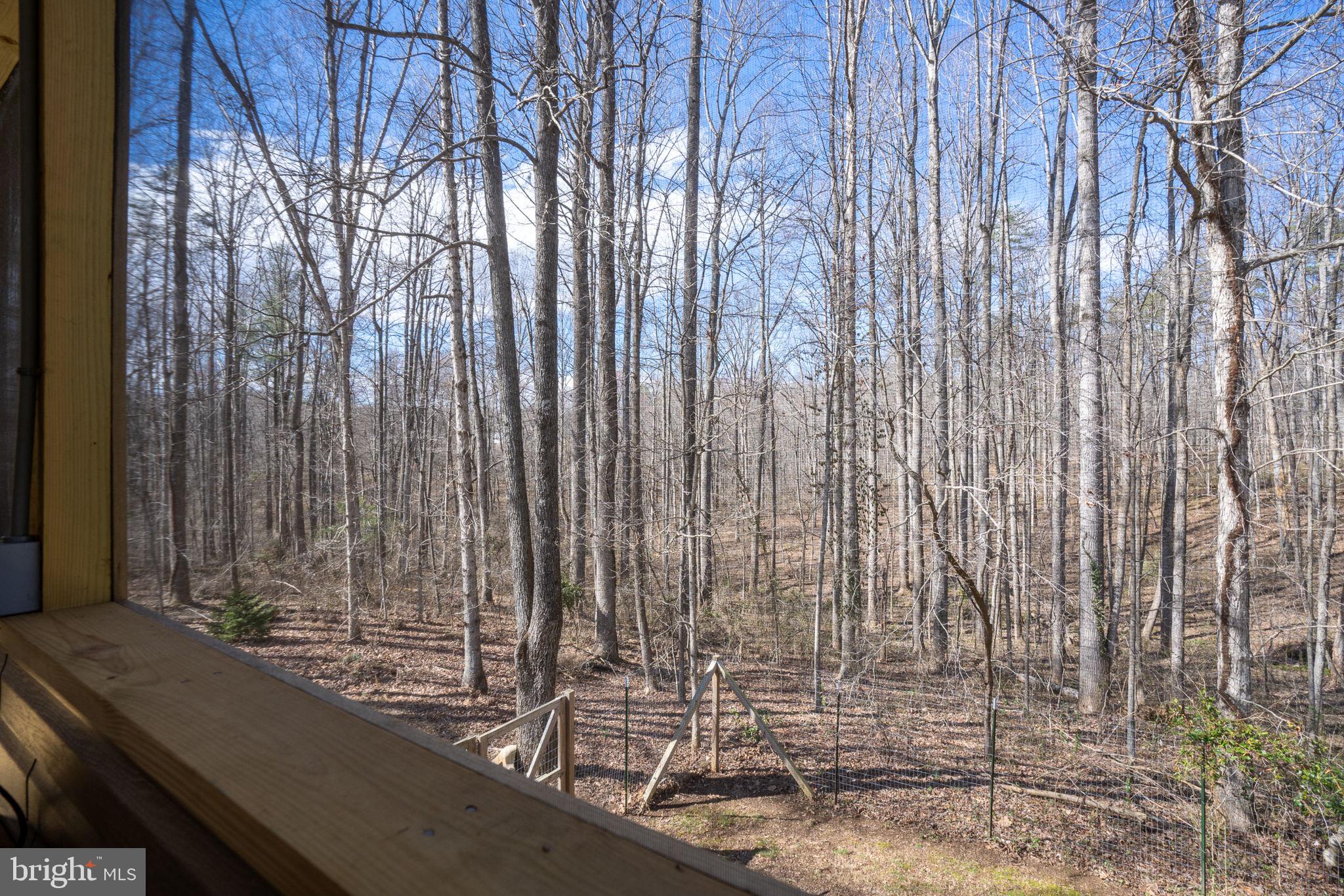 5419 Hoover Road Reva, VA 22735 - Photo 36 of 36 PARTIALLY WOODED