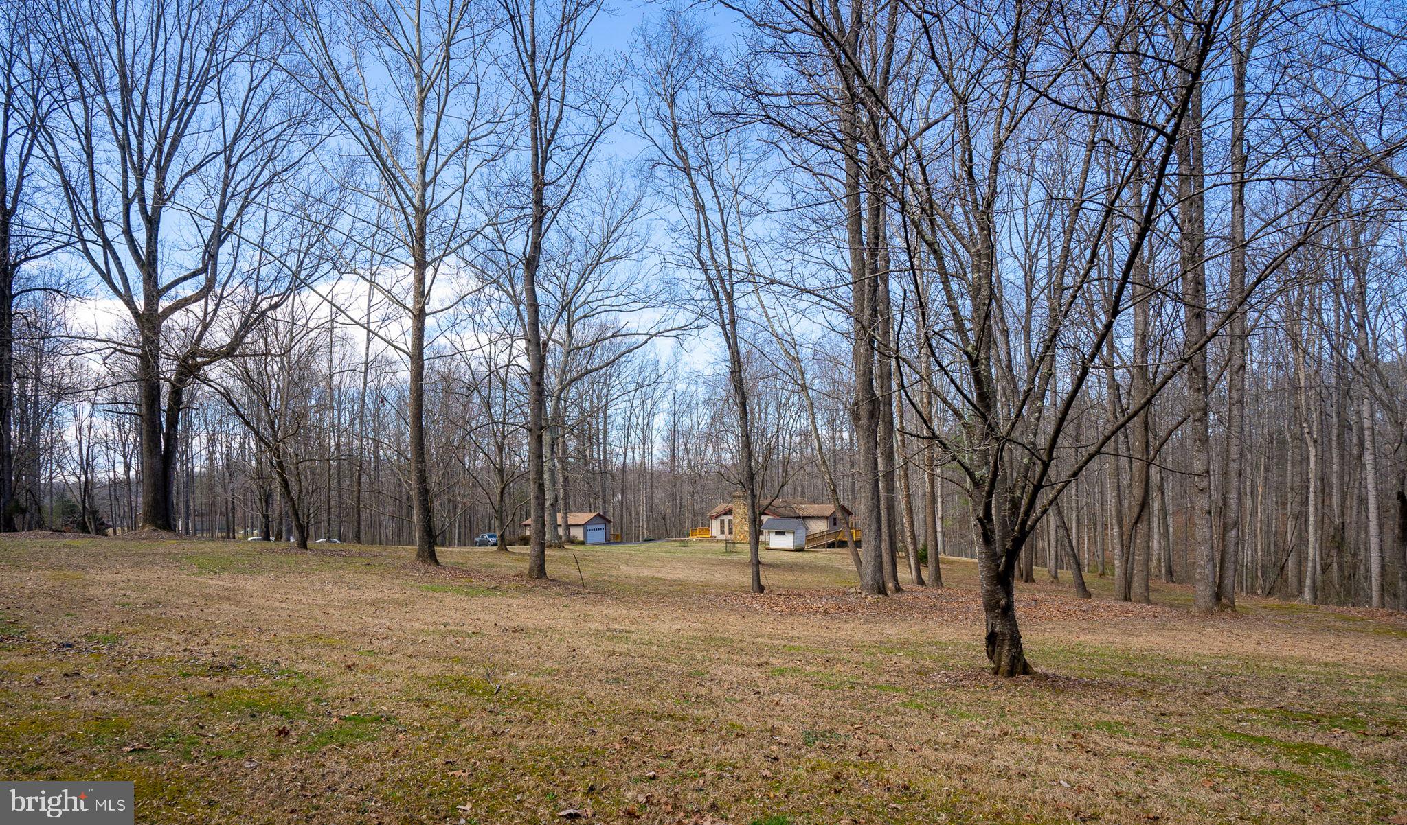5419 Hoover Road Reva, VA 22735 - Photo 9 of 36 PRIVATE SETTING