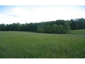 7400-block South Harmony Road Bloomington, IN 47403 - Photo 2 of 3 Gallery Image 2