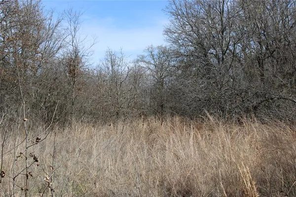 $192,500 | 13-ac North 13-ac N Mason, Perrin, TX 76486