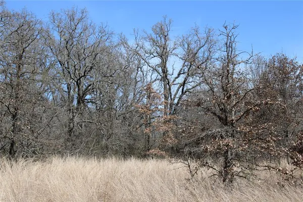 $192,500 | 13-ac North 13-ac N Mason, Perrin, TX 76486