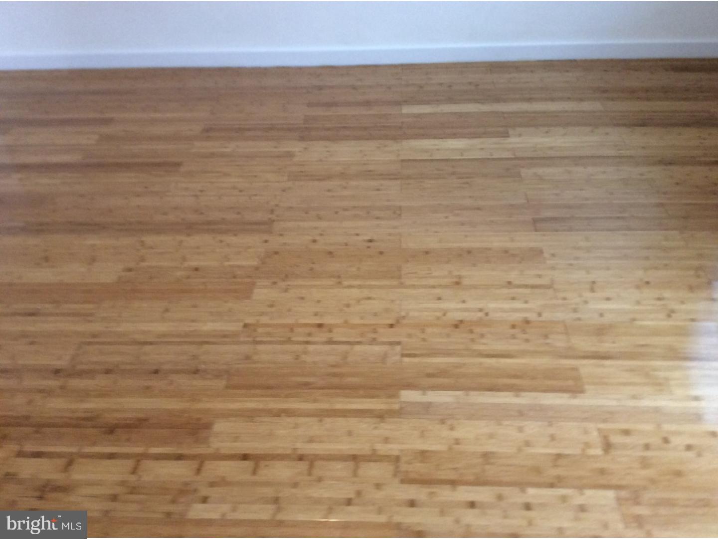 283 Sanford Road Upper Darby, PA 19082 - Photo 13 of 24