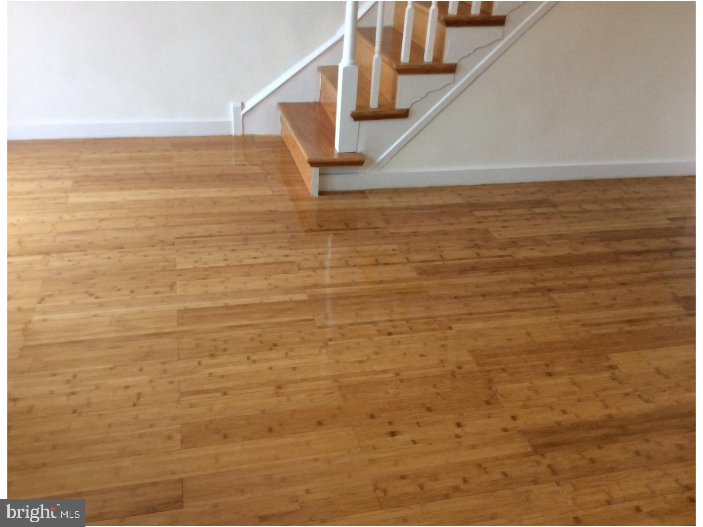 283 Sanford Road Upper Darby, PA 19082 - Photo 14 of 24