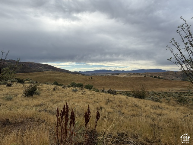 4458 East Glencoe Road Preston, ID 83263 - Photo 4 of 52 Additional content