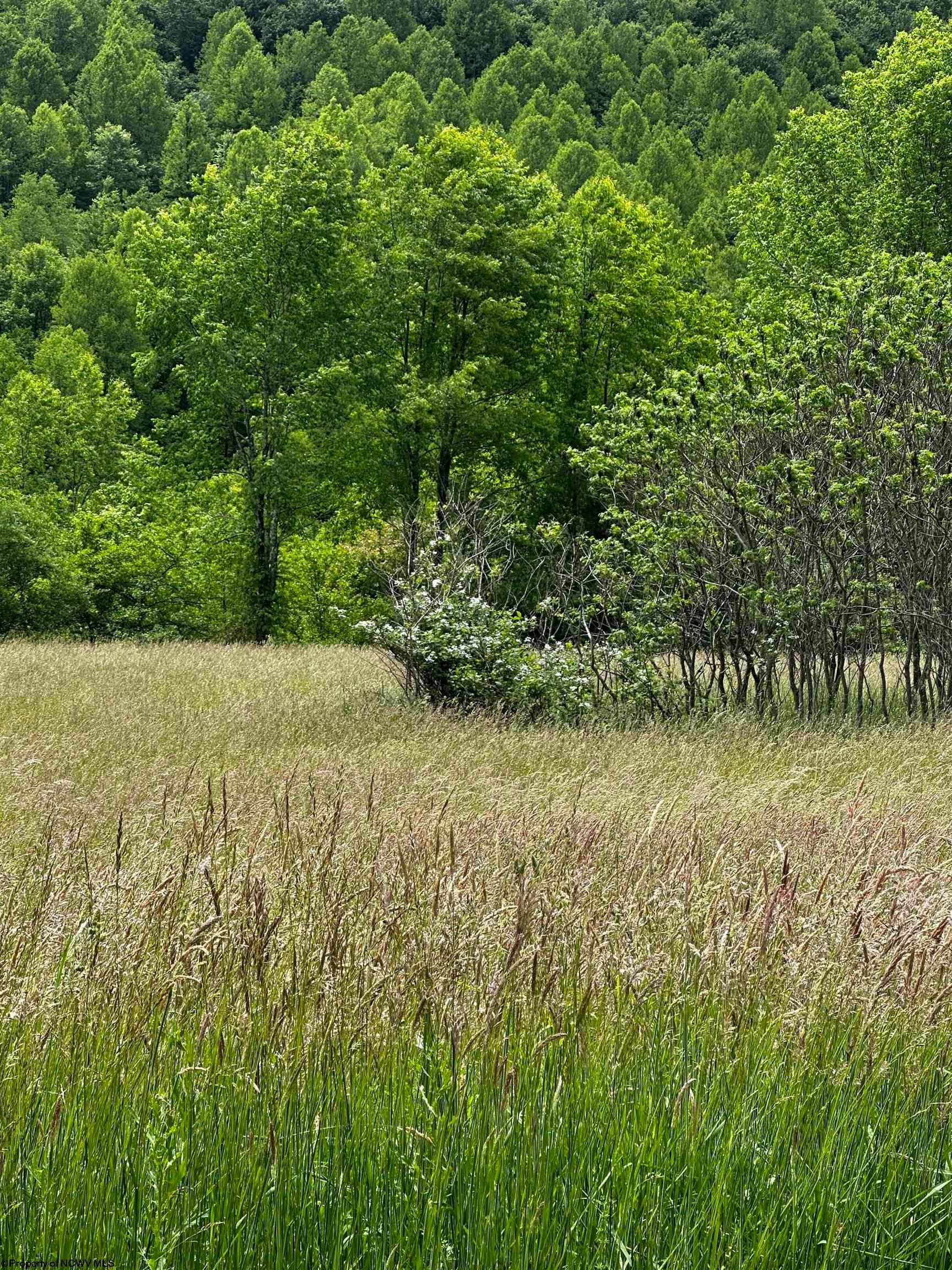 1644 Hovatter Road Thornton, WV 26440 - Photo 14 of 29 Gallery Image 14
