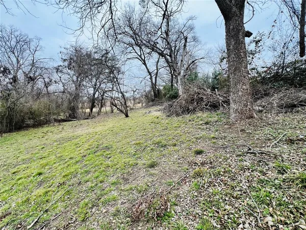 a backyard of a house with large trees