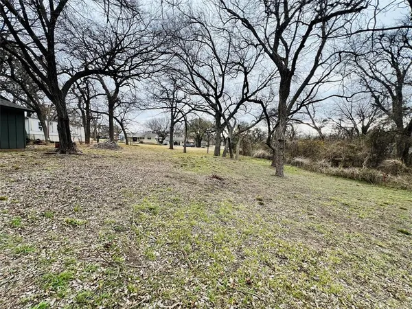 a view of a yard with a tree