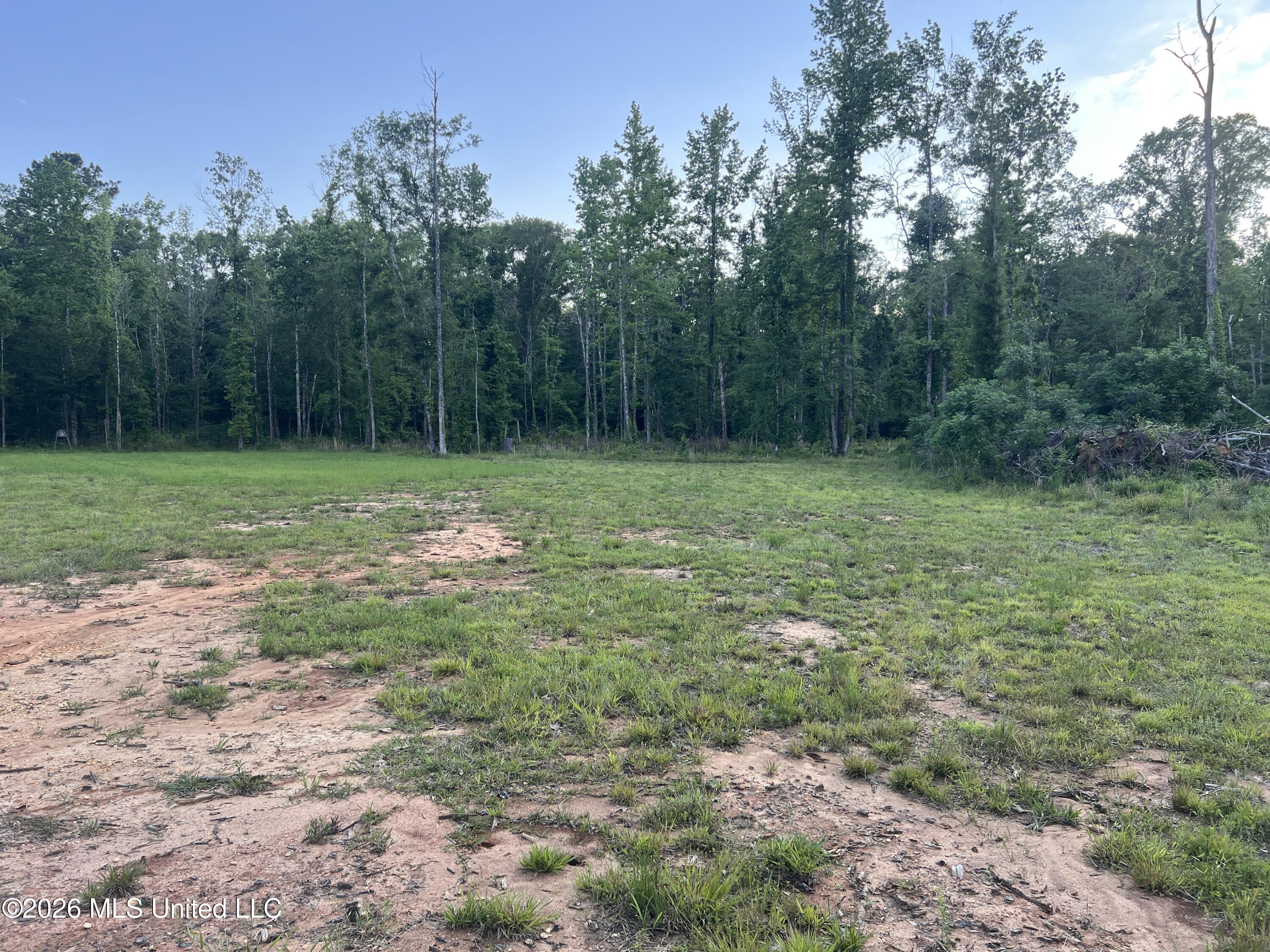 5734 Hebron Road Liberty, MS 39645 - Photo 7 of 32 7.