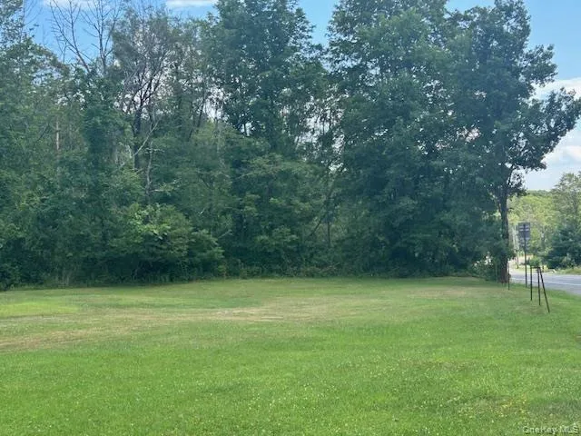 a view of a field with a tree