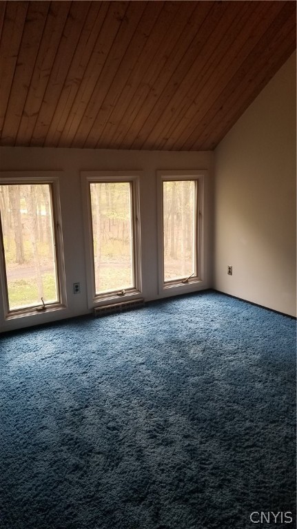 5086 Limeledge Road Camillus, NY 13060 - Photo 20 of 34