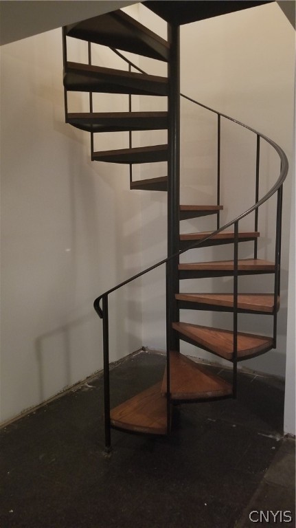 5086 Limeledge Road Camillus, NY 13060 - Photo 32 of 34