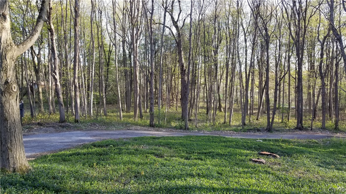 5086 Limeledge Road Camillus, NY 13060 - Photo 5 of 34