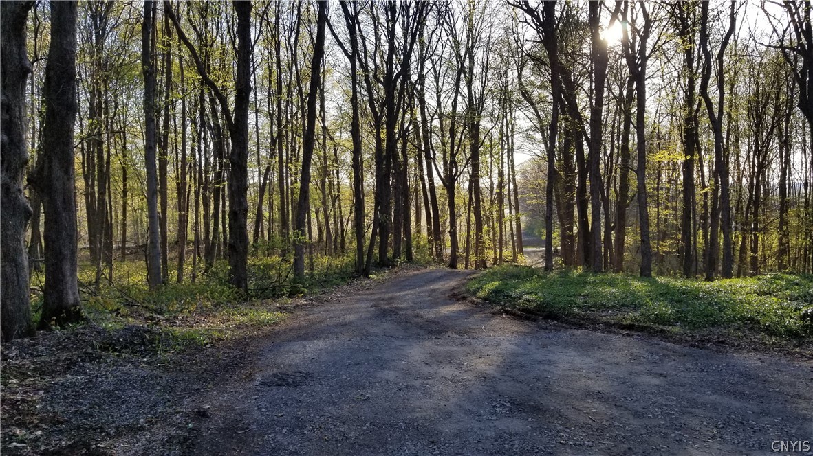 5086 Limeledge Road Camillus, NY 13060 - Photo 6 of 34