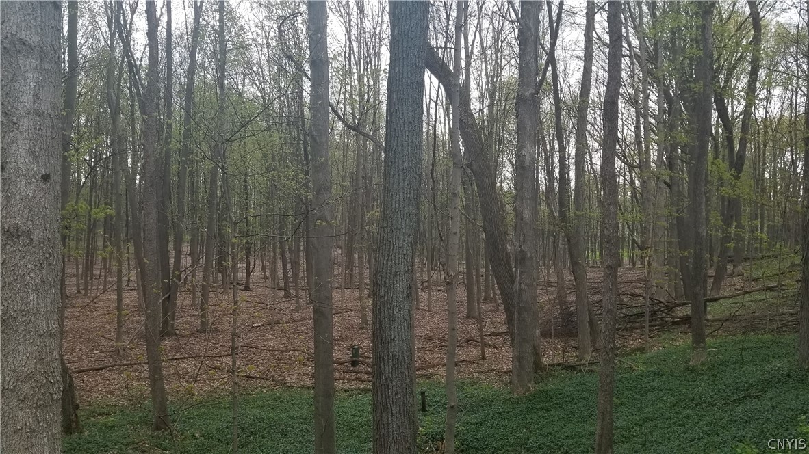 5086 Limeledge Road Camillus, NY 13060 - Photo 7 of 34