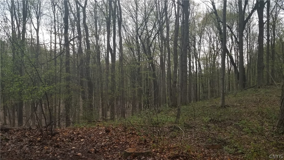 5086 Limeledge Road Camillus, NY 13060 - Photo 8 of 34