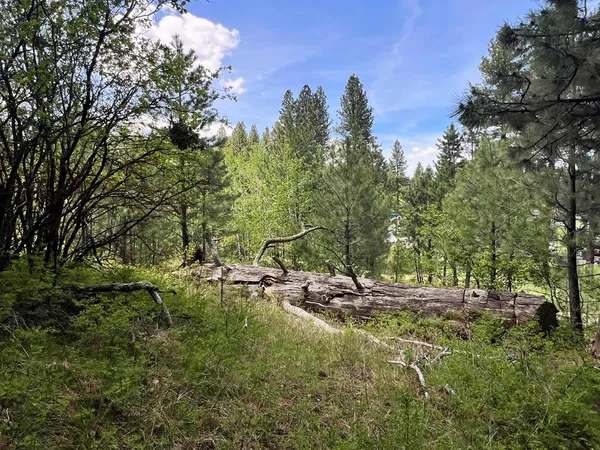 $137,900 | T75-li Cabarton Road, Unit PART I, Cascade, ID 83611