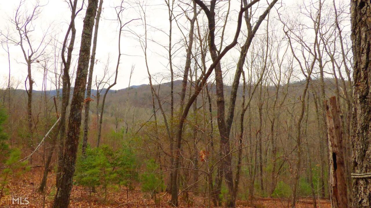 0 Wehunt Road, Unit 6 15 ACRES Epworth, GA 30541 - Photo 1 of 1 Gallery Image 1