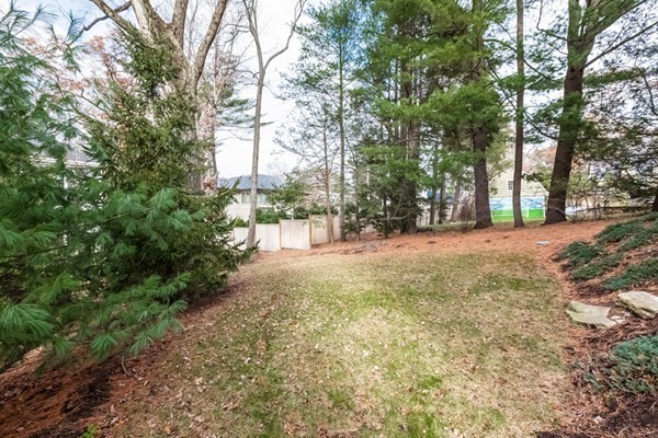 181 Pine Ridge Road Newton, MA 02468 - Photo 16 of 16 Gallery Image 16