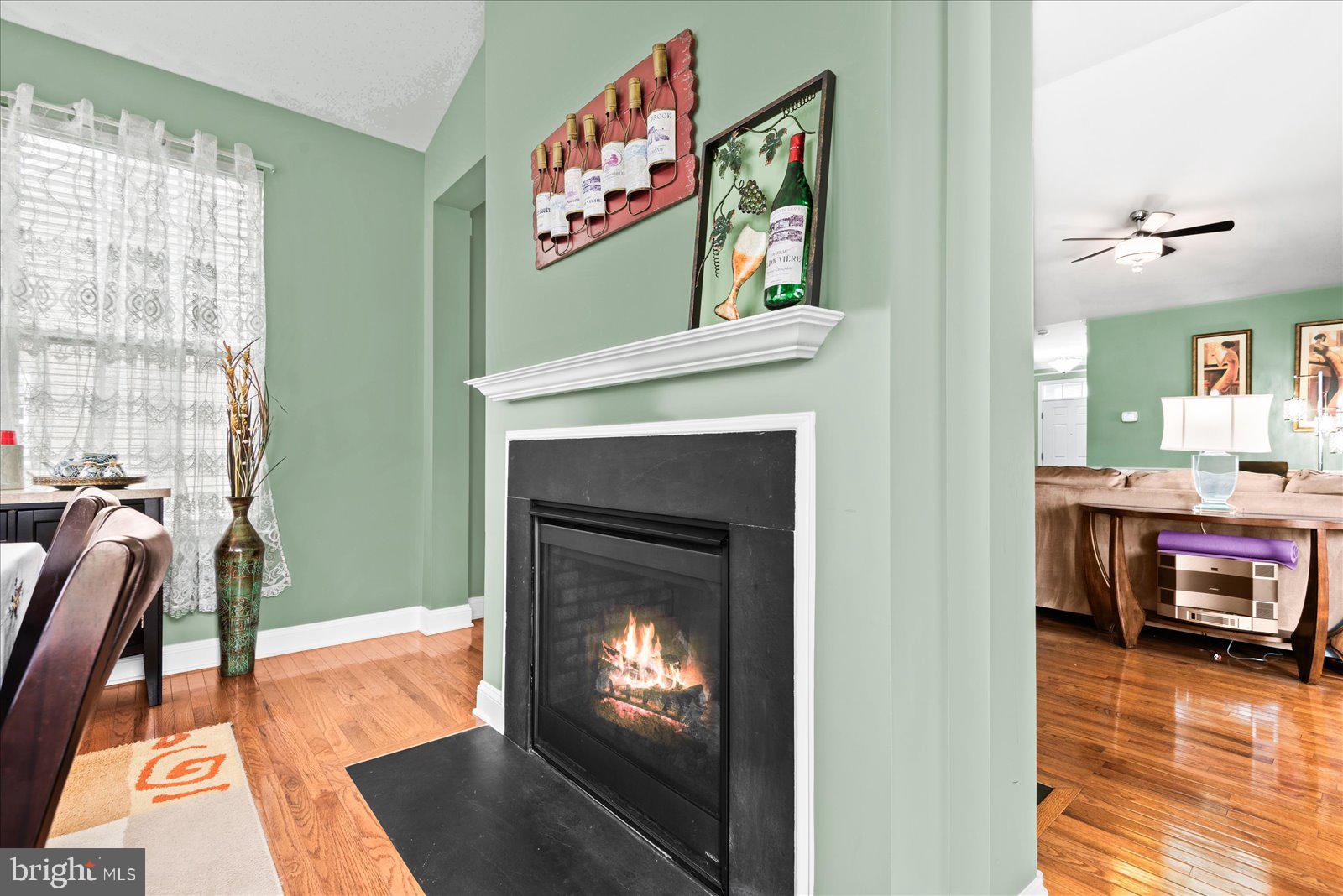 2077 Chesterfield Road Locust Grove, VA 22508 - Photo 15 of 46 Fireplace
