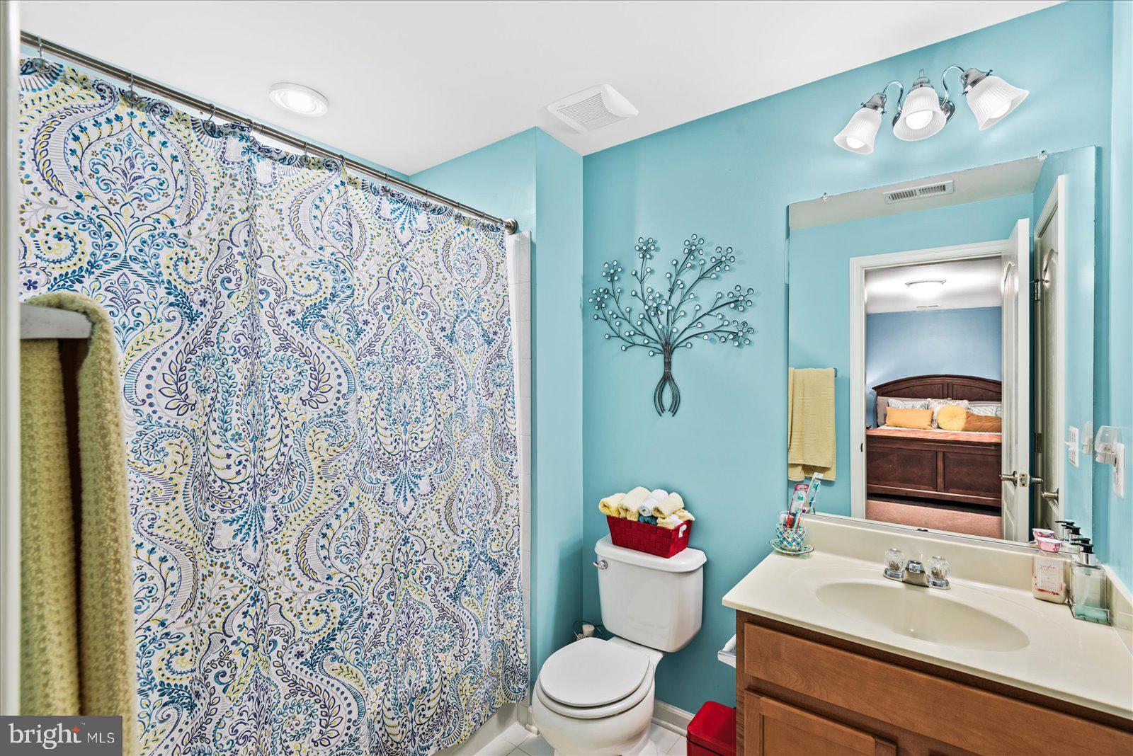 2077 Chesterfield Road Locust Grove, VA 22508 - Photo 35 of 46 Basement Bathroom