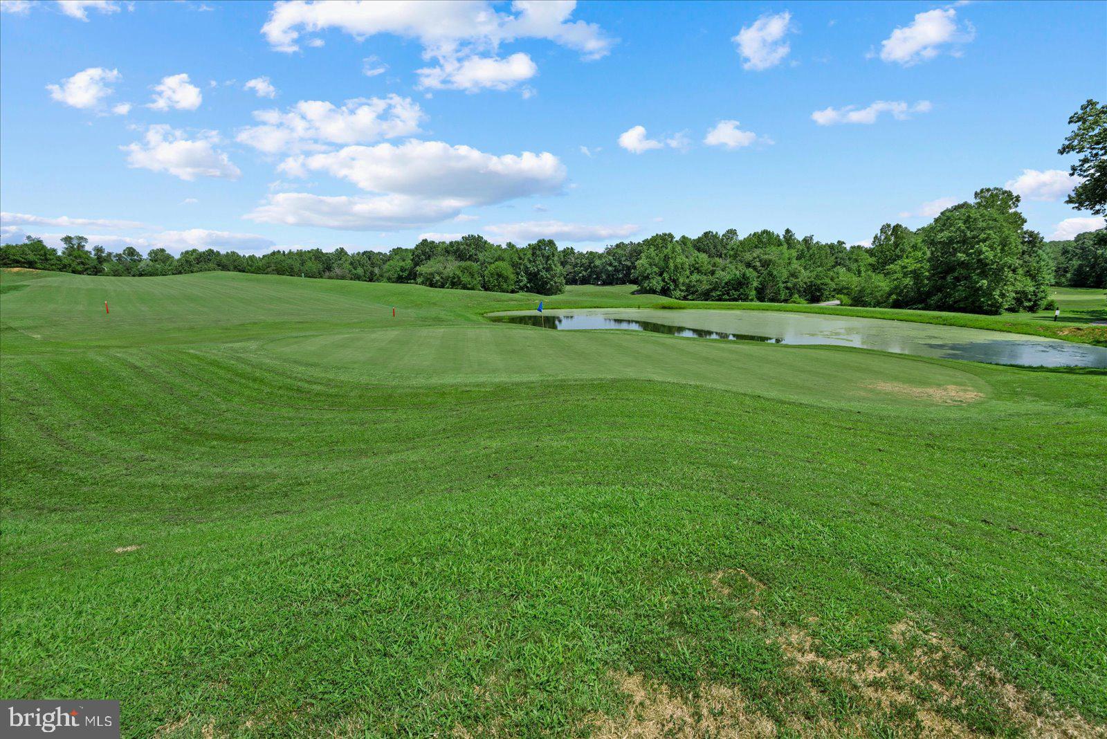 2077 Chesterfield Road Locust Grove, VA 22508 - Photo 40 of 46 Rear Golf Course view