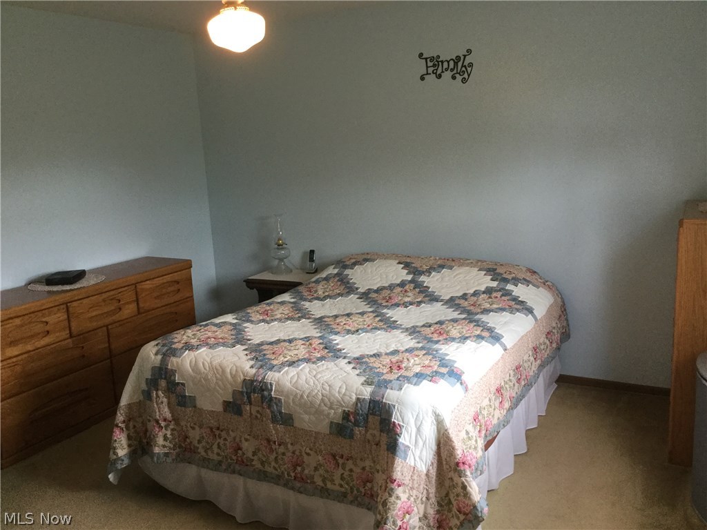 4484 Beat Road Litchfield, OH 44253 - Photo 21 of 30 Gallery Image 21