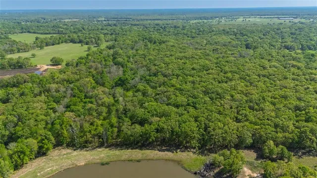 a view of a big yard with lots of green space