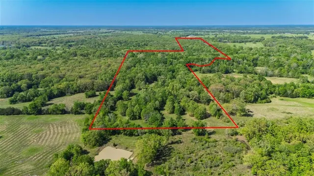 a view of a garden with an outdoor space