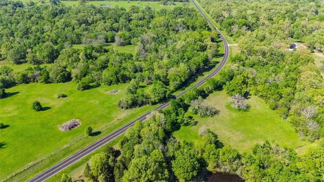 a view of a garden with a plant