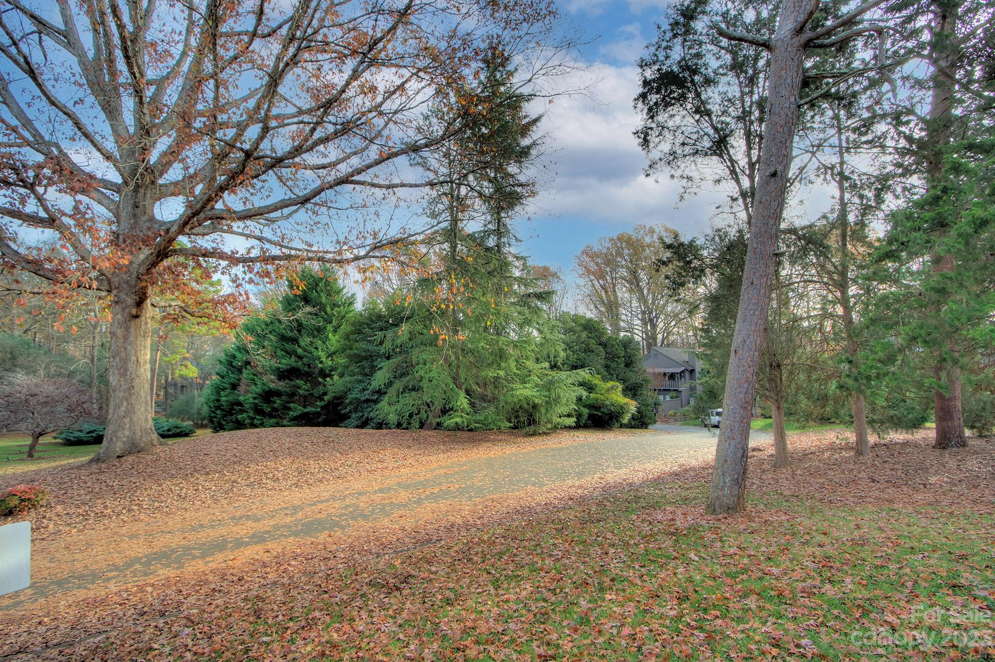 4719 Rounding Run Road Charlotte, NC 28277 - Photo 43 of 48 a view of a yard with plants and trees