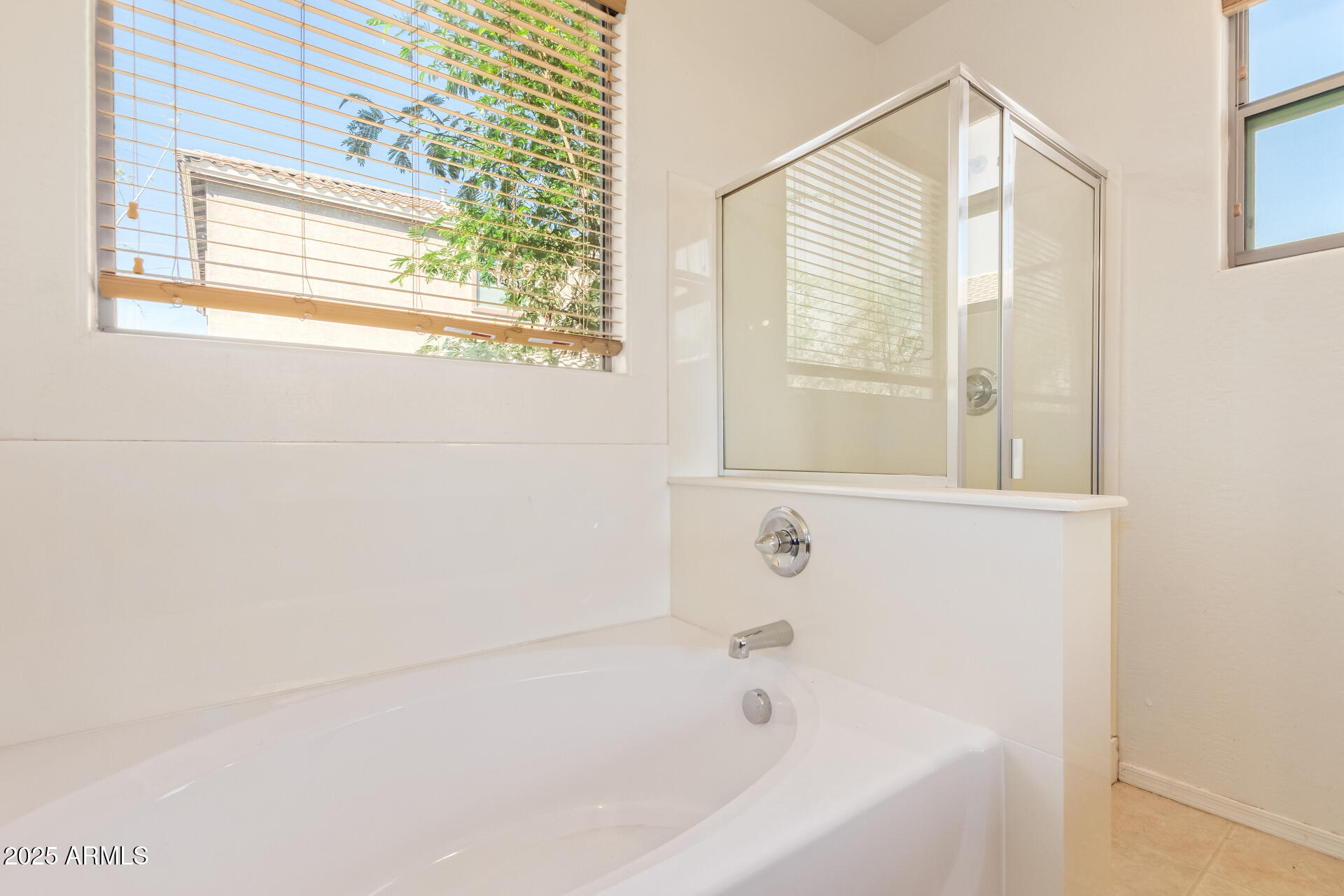 2536 West Gary Way Phoenix, AZ 85041 - Photo 17 of 26 a bathroom with a bathtub and a window