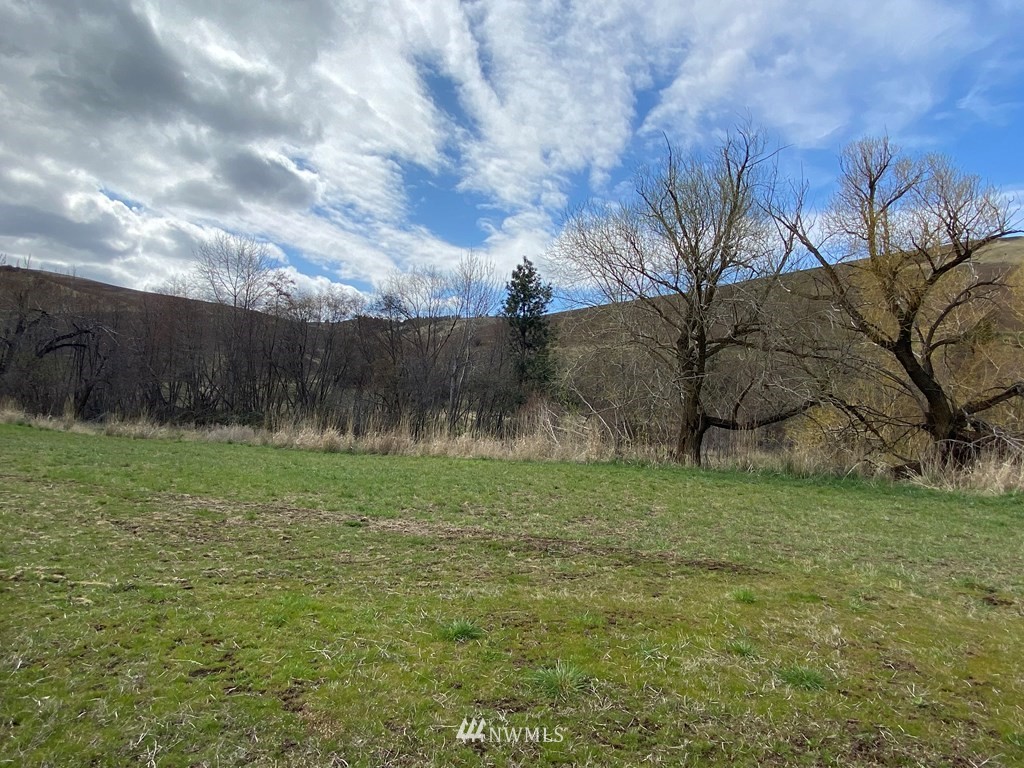 252 South Touchet Road Dayton, WA 99328 - Photo 17 of 28 Gallery Image 17