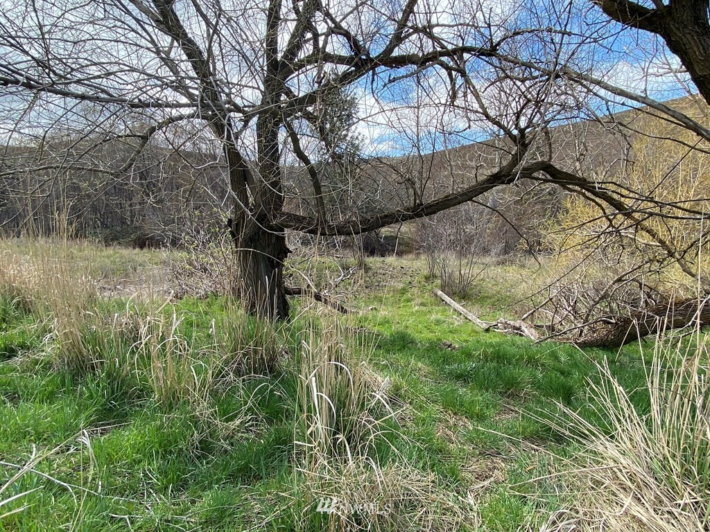 252 South Touchet Road Dayton, WA 99328 - Photo 18 of 28 Gallery Image 18