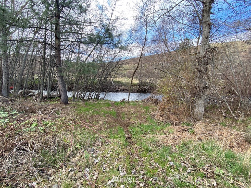252 South Touchet Road Dayton, WA 99328 - Photo 19 of 28 Gallery Image 19