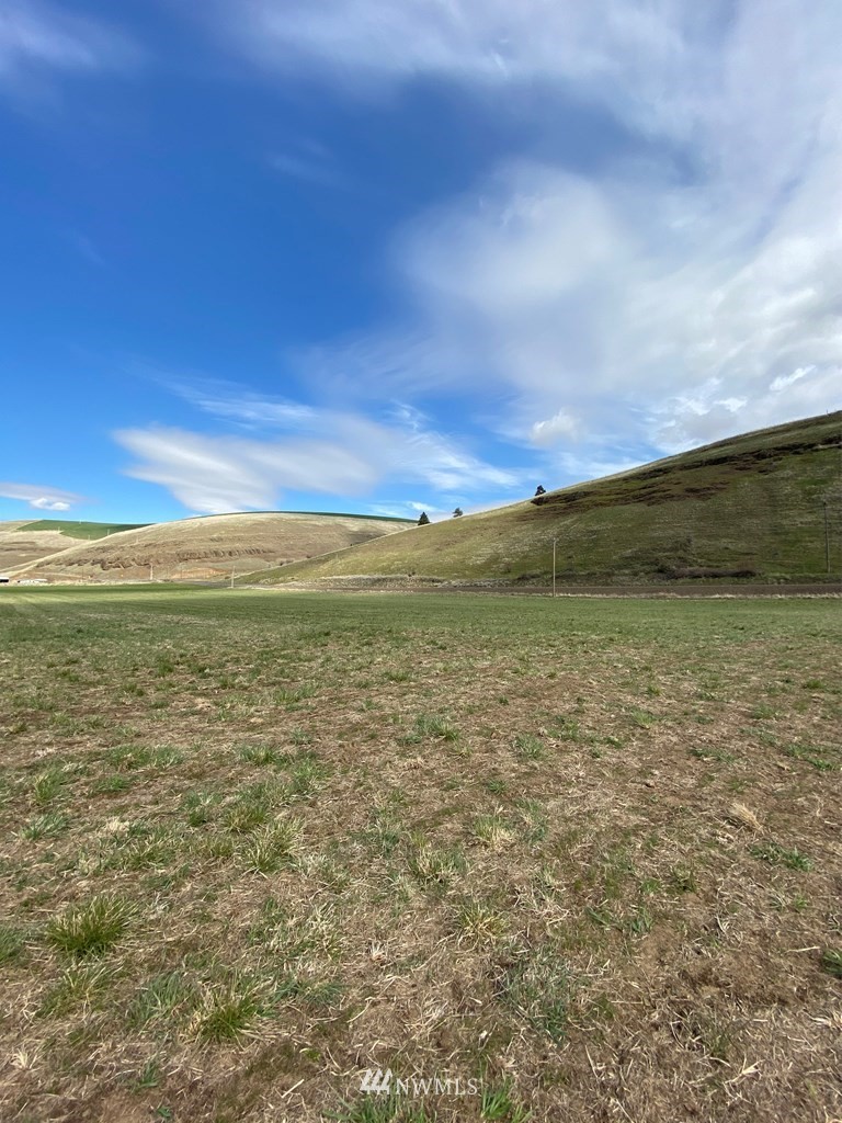 252 South Touchet Road Dayton, WA 99328 - Photo 25 of 28 Gallery Image 25
