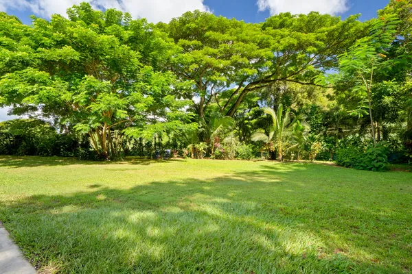 a view of an outdoor space and a yard