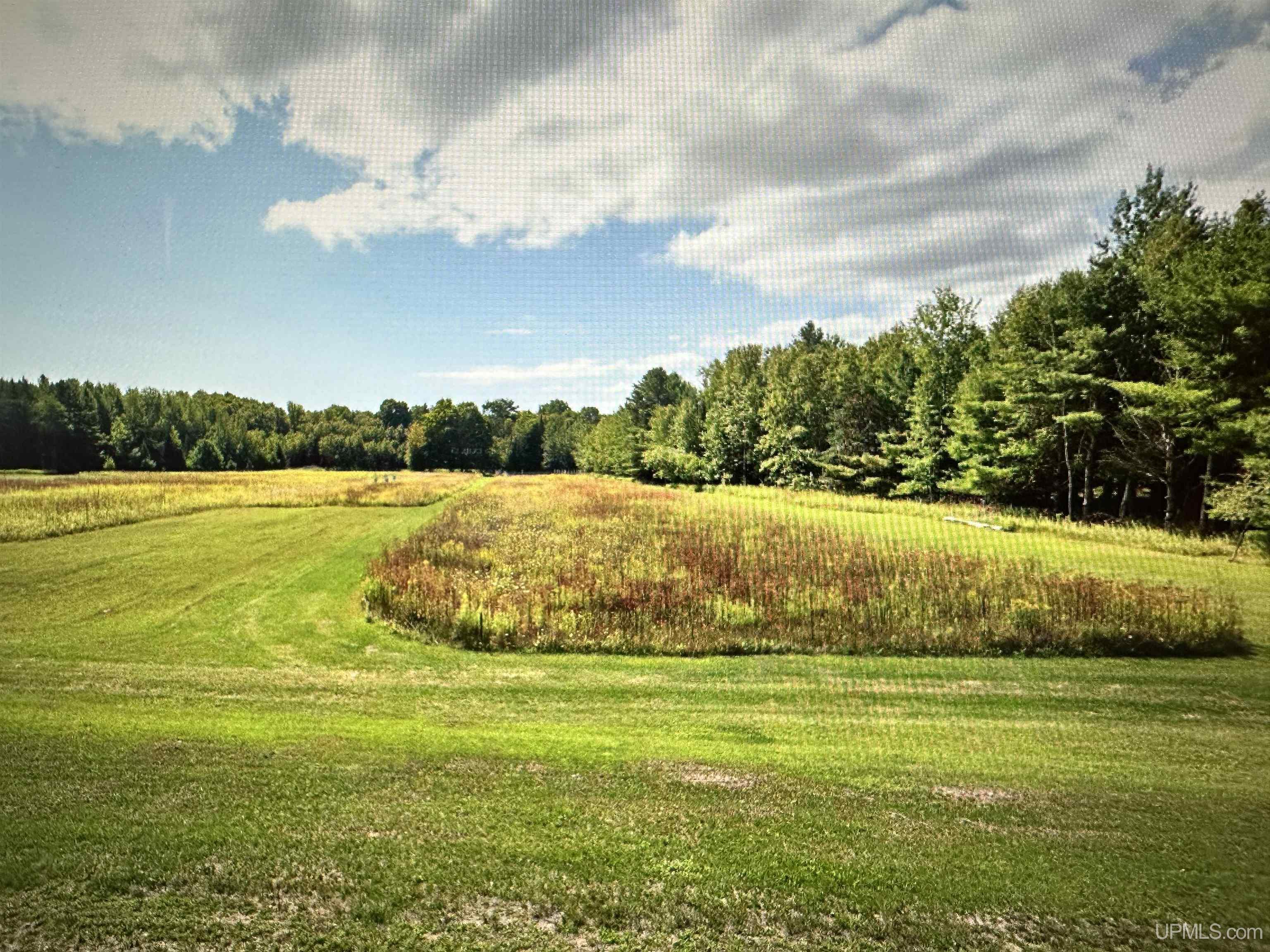 Tbd County Road 440 Road Manistique, MI 49854 - Photo 3 of 3 Gallery Image 3