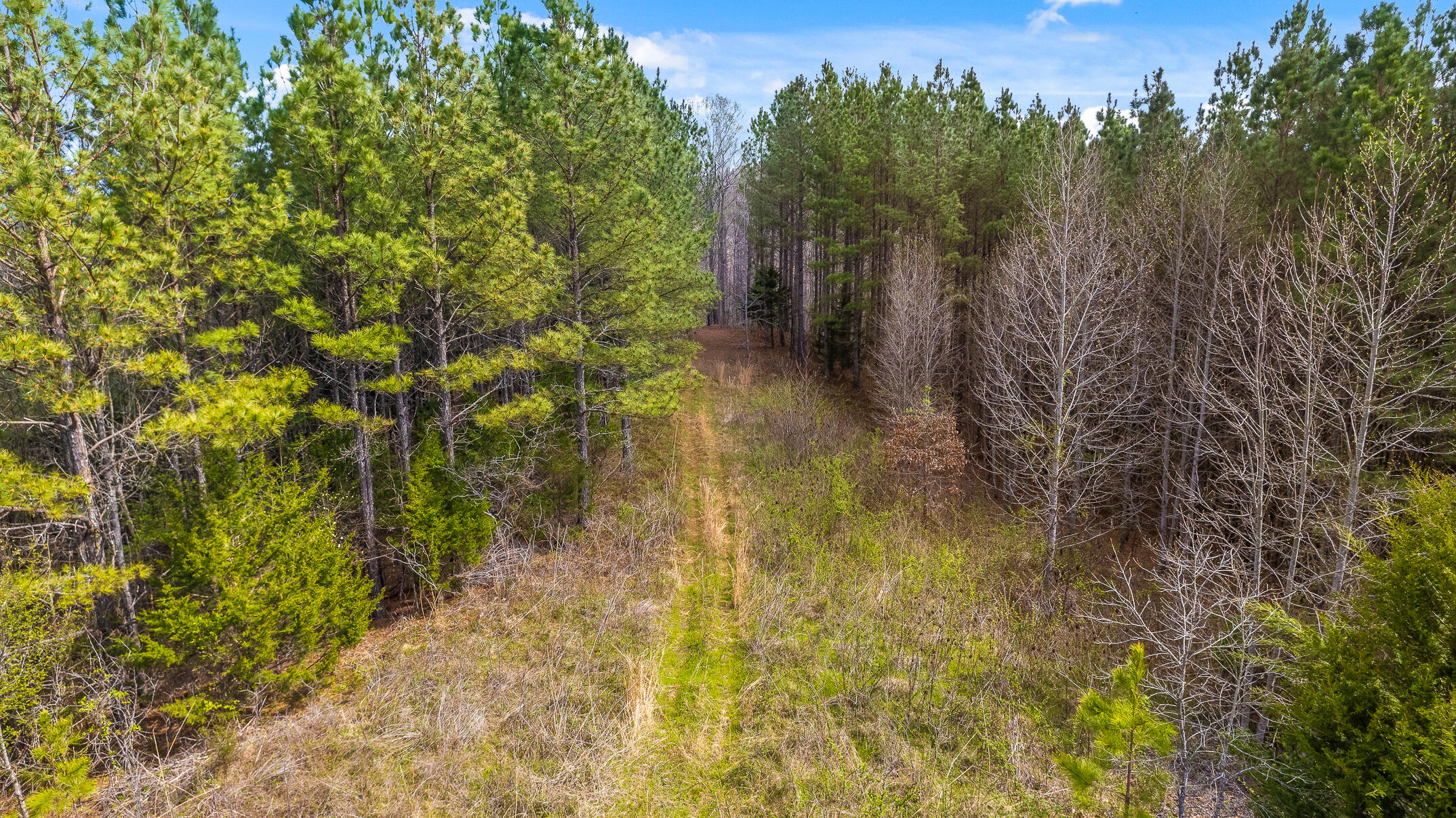 20.41 Plank Road Decatur, TN 37322 - Photo 1 of 36 0 Plank Rd - Aerial