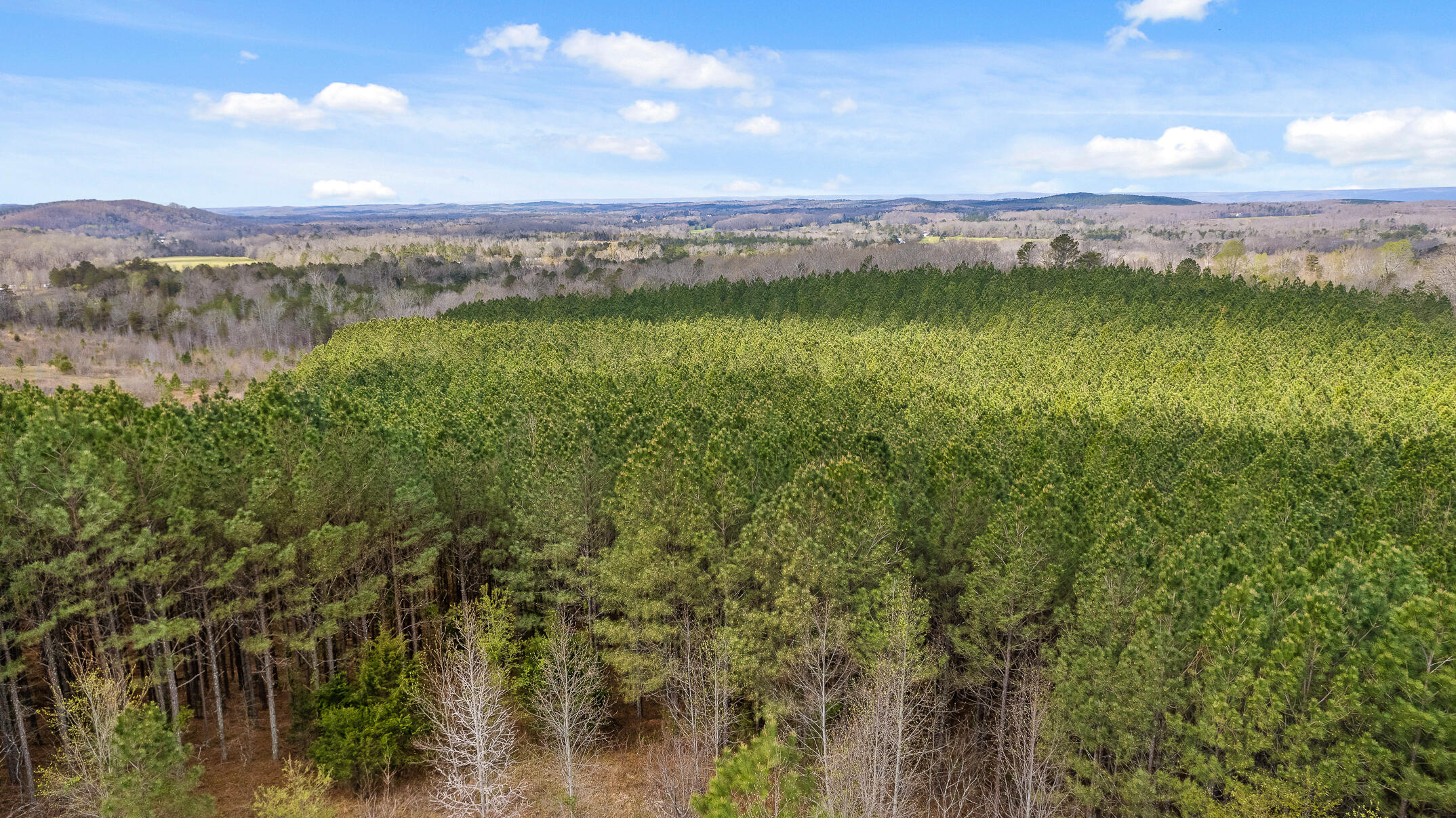 20.41 Plank Road Decatur, TN 37322 - Photo 13 of 36 Aerial View